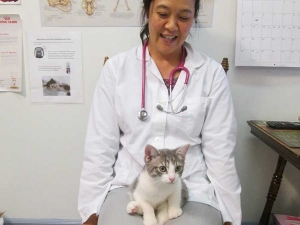 Kitten Health Plans