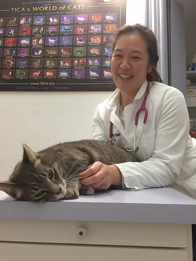 Cat Hospital Veterinary Clinic London Ontario Dr Dorothy Cheung