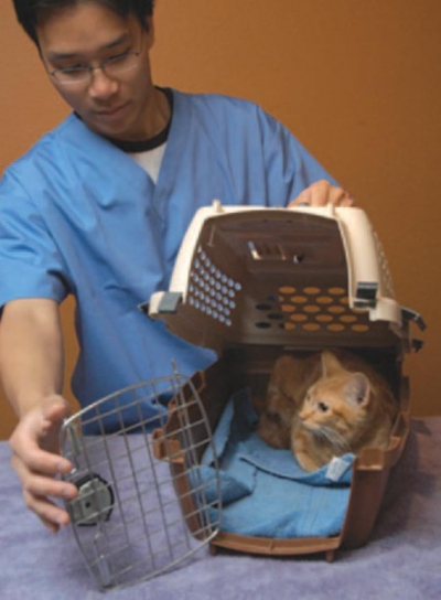 Preparing for the Visit to the Vet: Carriers
