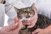 Preventative Medicine
